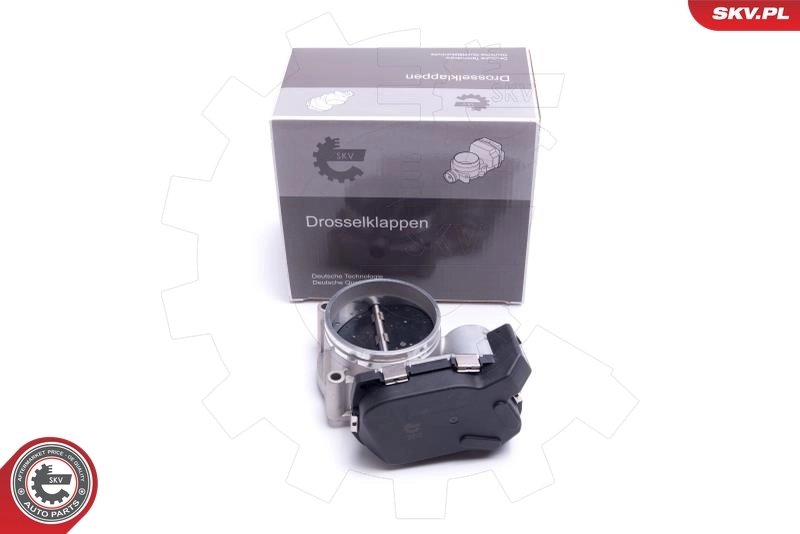 Throttle Body